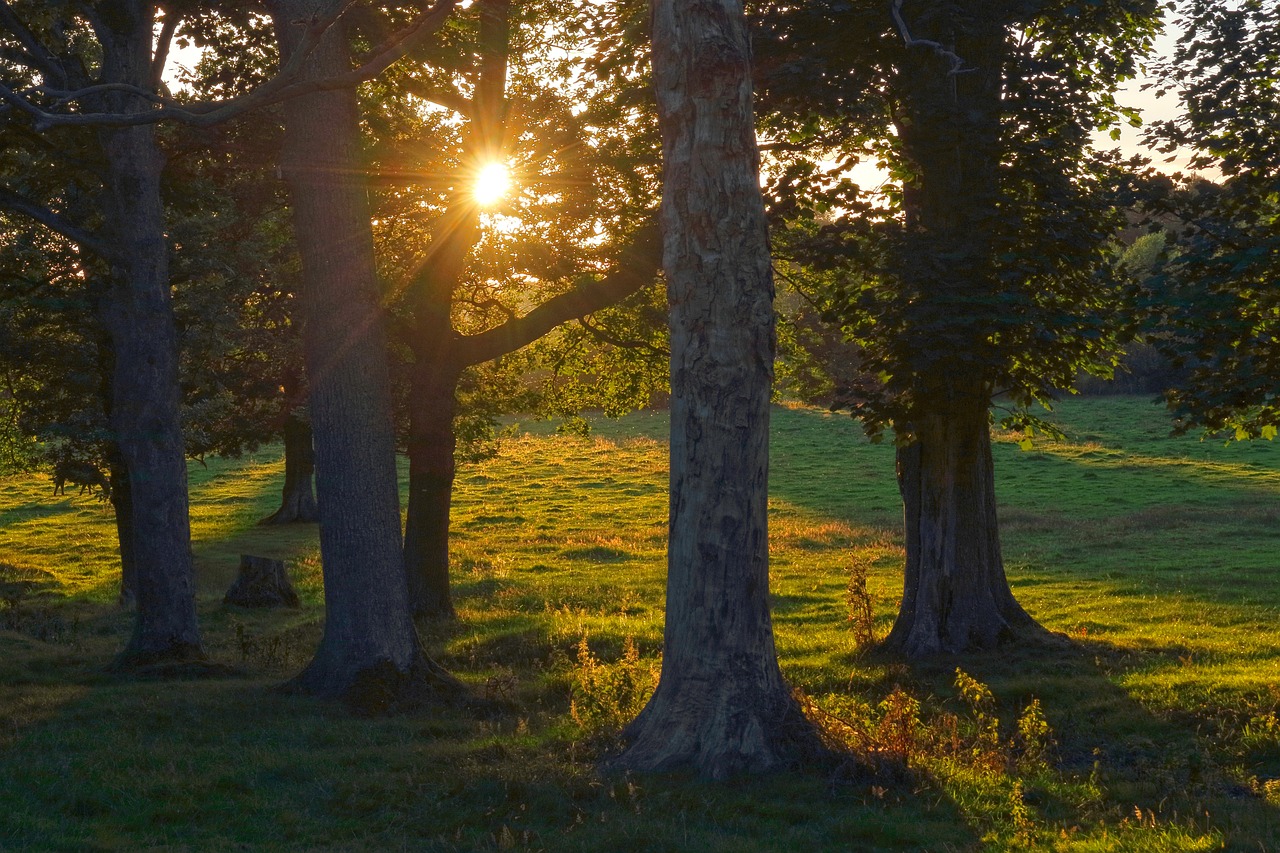 How to Make the Most of Golden Hour in Your Travel Shots